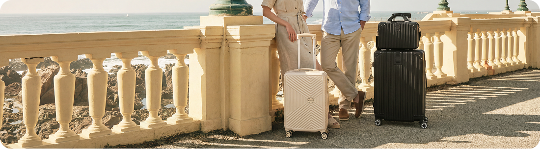 Malas de viagem
